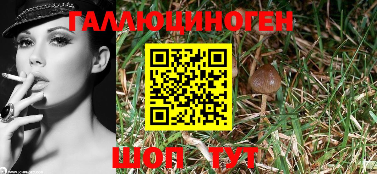 Мурманск  Галлюциногенные грибы мухоморы  Псилоцибиновые грибы Psilocybine cubensis  Вход с VPN 